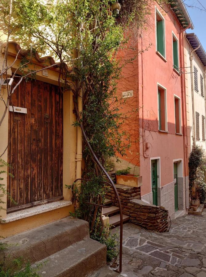 Appartement type T2 bord de mer ACCES PLAGE DIRECT 4RB4 Collioure Buitenkant foto