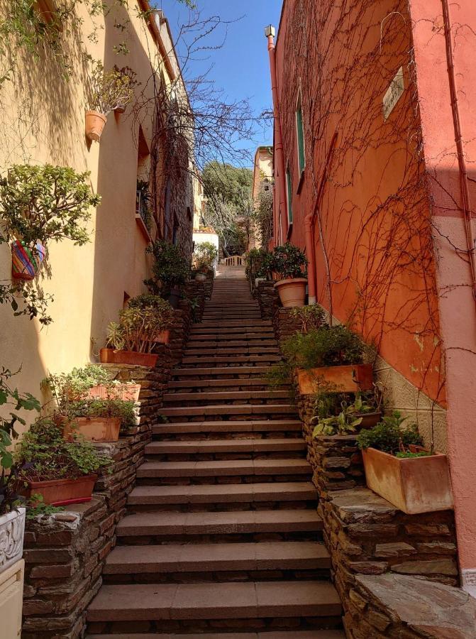 Appartement type T2 bord de mer ACCES PLAGE DIRECT 4RB4 Collioure Buitenkant foto